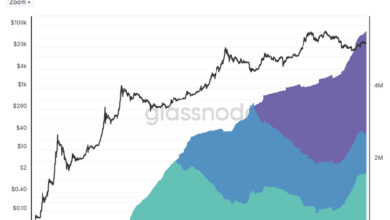 Photo of Bitcoin: HODLer bleiben trotz Marktvolatilität unbeeindruckt