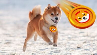 Photo of Shiba Inu stürzt auf Zweijahrestiefs, da Bären den Markt überlasten